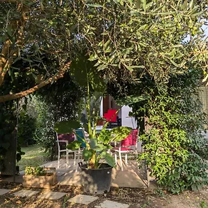  Villa La Maison Sous L'olivier
